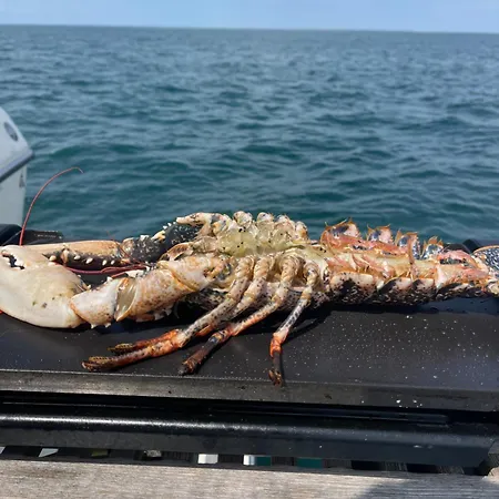 Yacht Twenty Seven * Les Sables-dʼOlonne