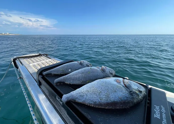 Yacht Twenty Seven Bådhotel