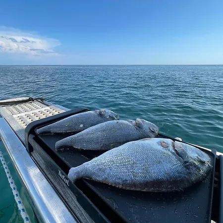 Yacht Twenty Seven 船上ホテル