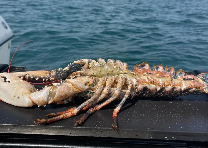 Yacht Twenty Seven * Les Sables-dʼOlonne